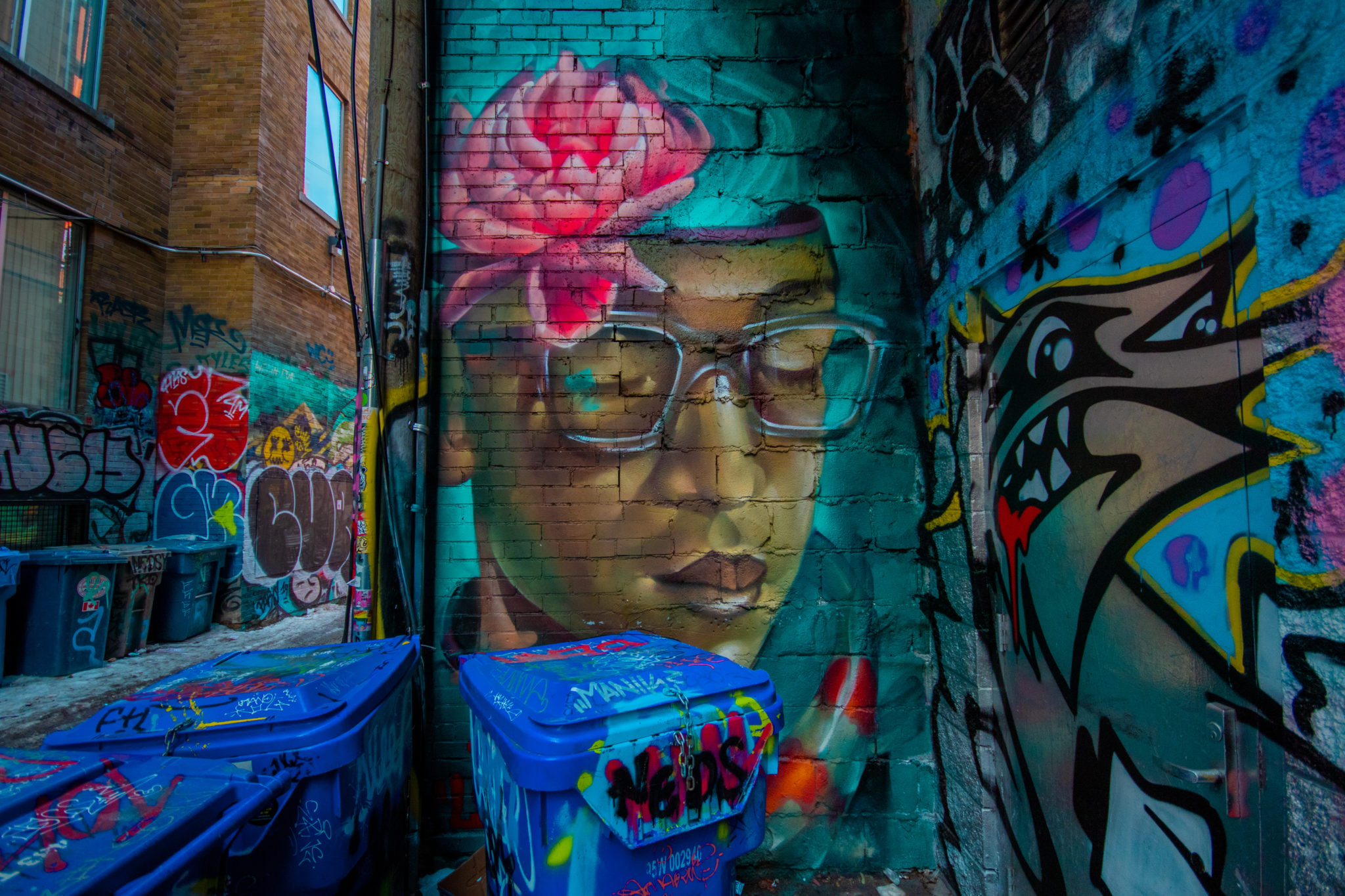 Rush Lane (Graffiti Alley) — Foto 2